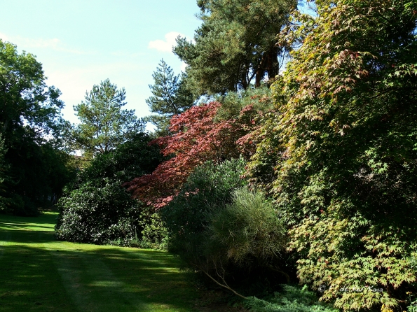 Bois des Moutiers  (55) Summer 2012